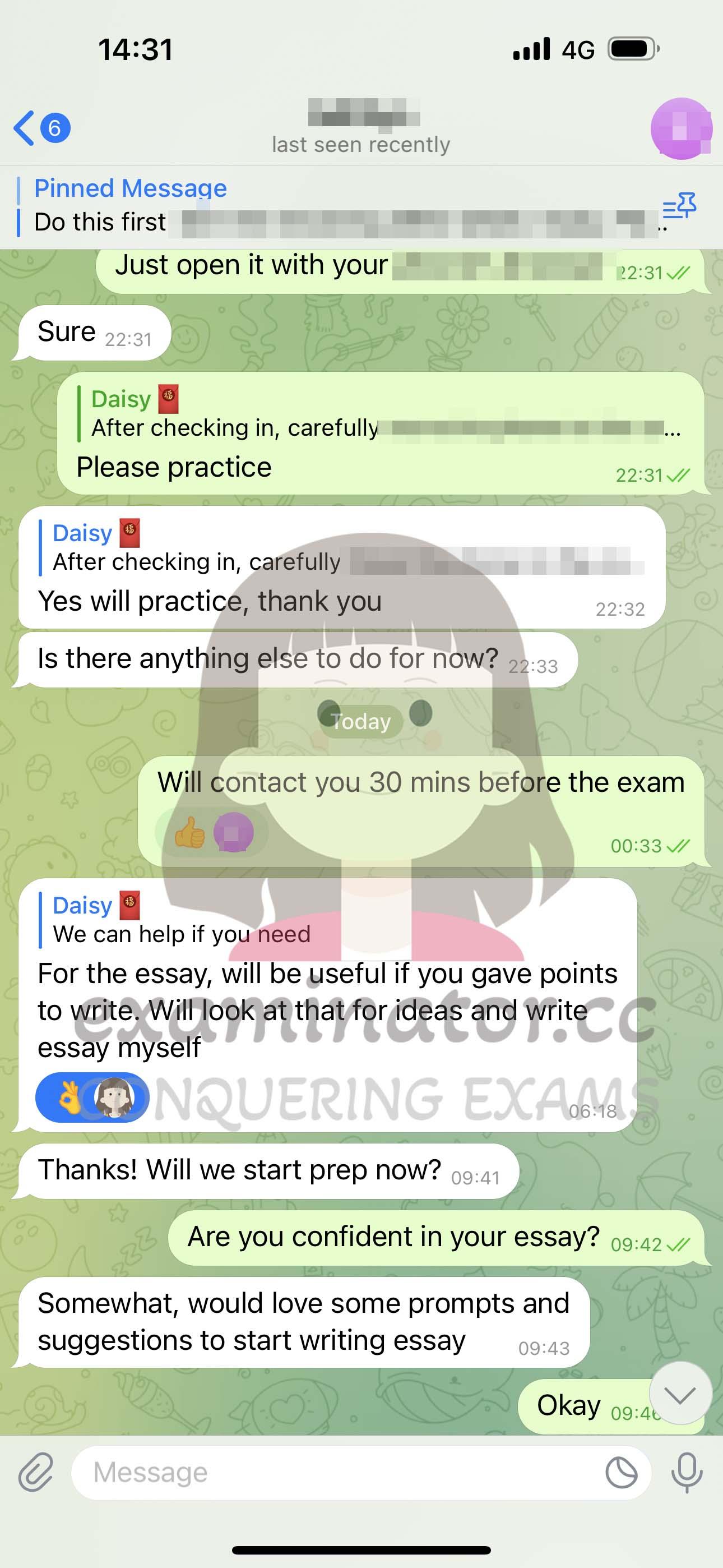 screenshot of chat logs for GRE Cheating success story #583