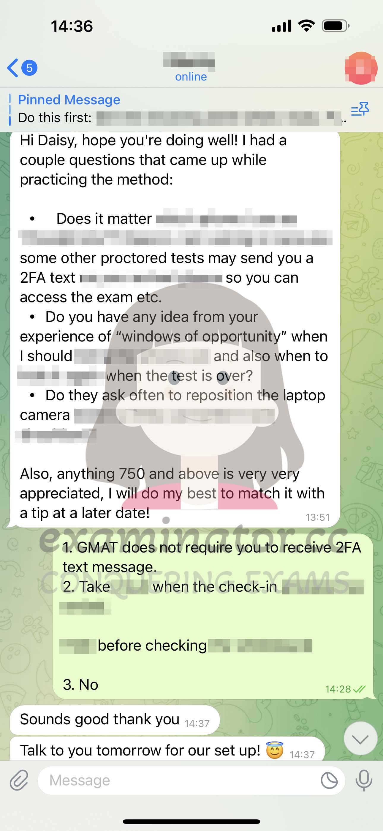 screenshot of chat logs for GMAT Cheating success story #564