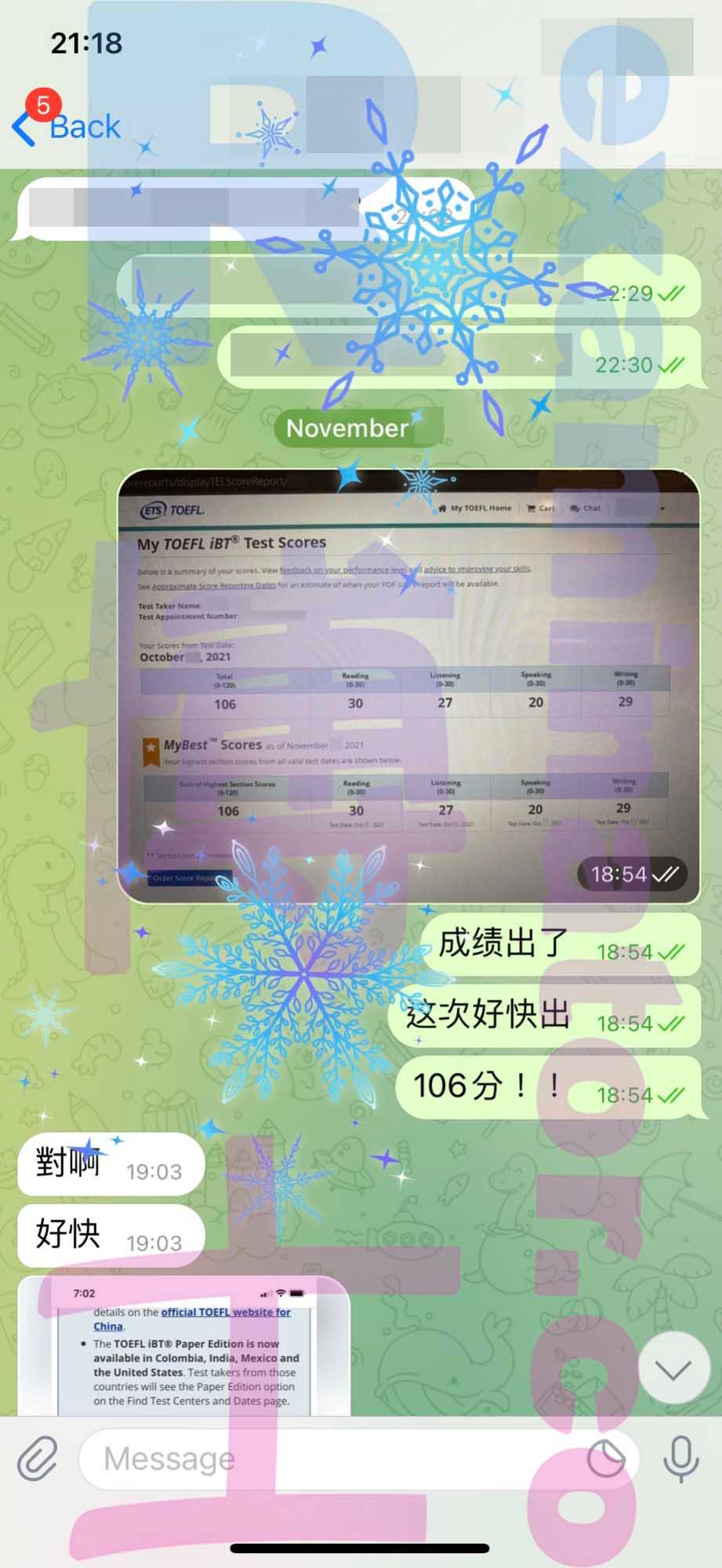 screenshot of chat logs for TOEFL Cheating success story #239