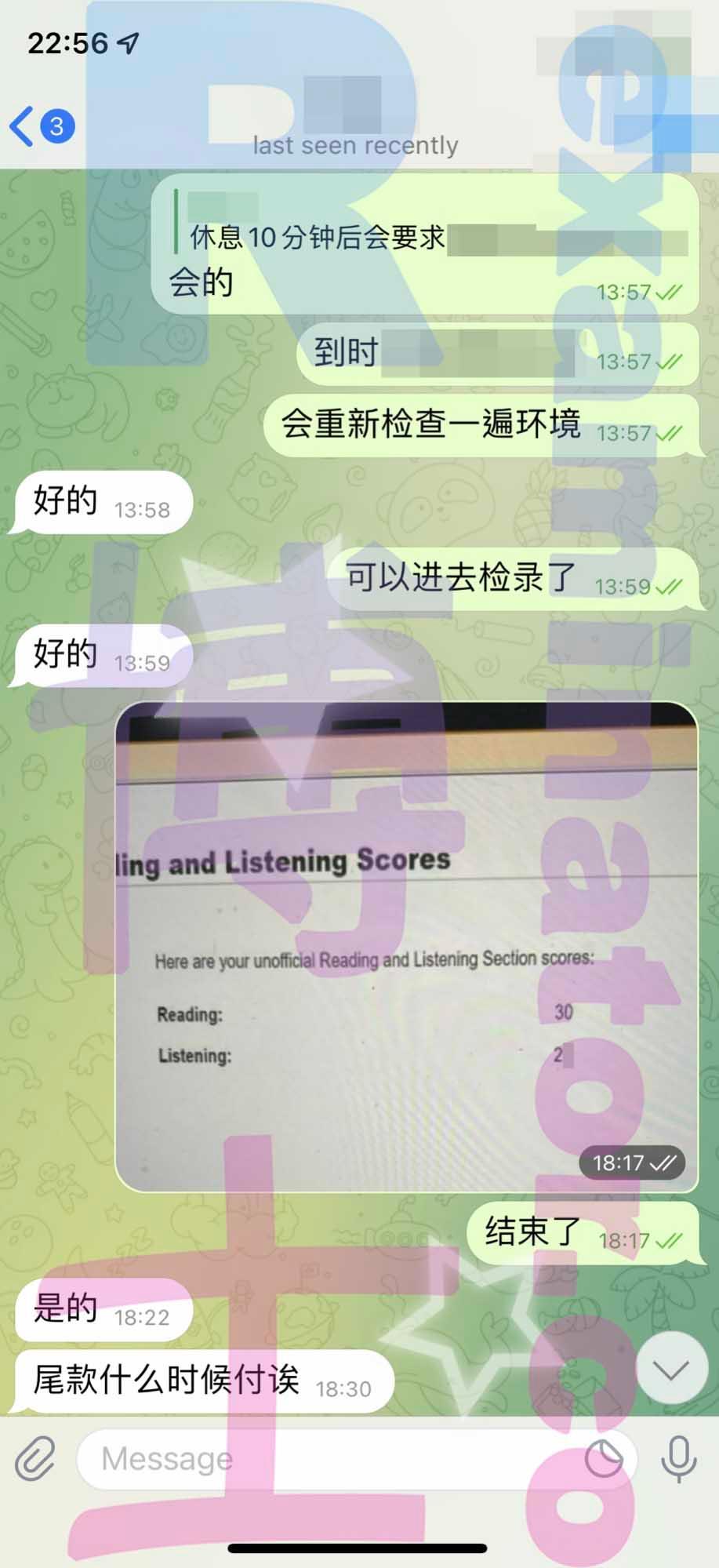 screenshot of chat logs for TOEFL Proxy Testing success story #310