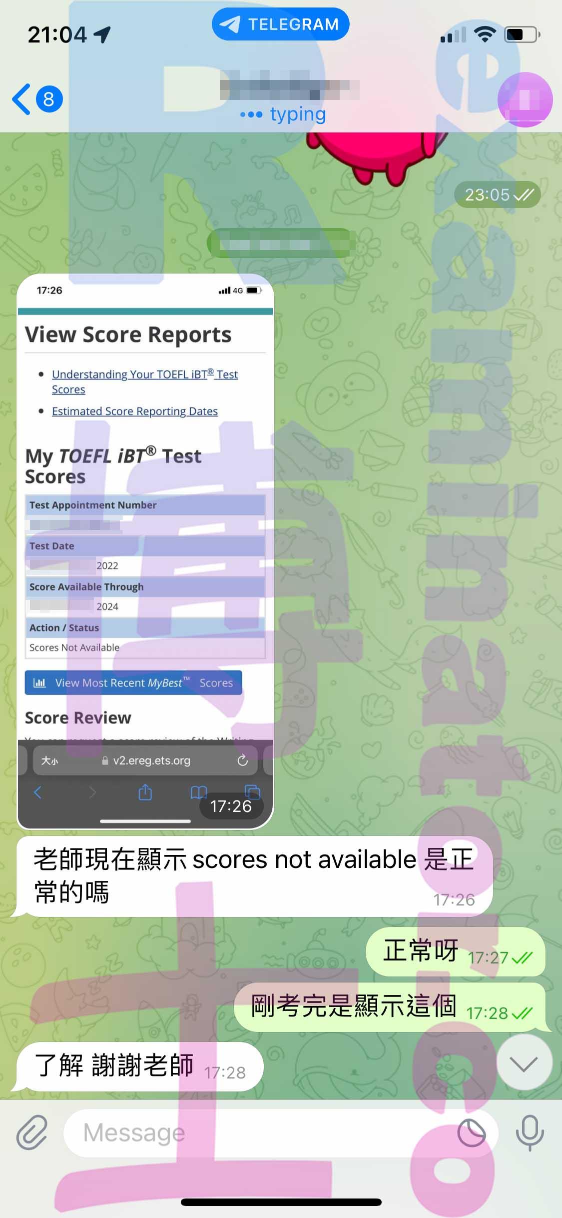 screenshot of chat logs for TOEFL Cheating success story #395