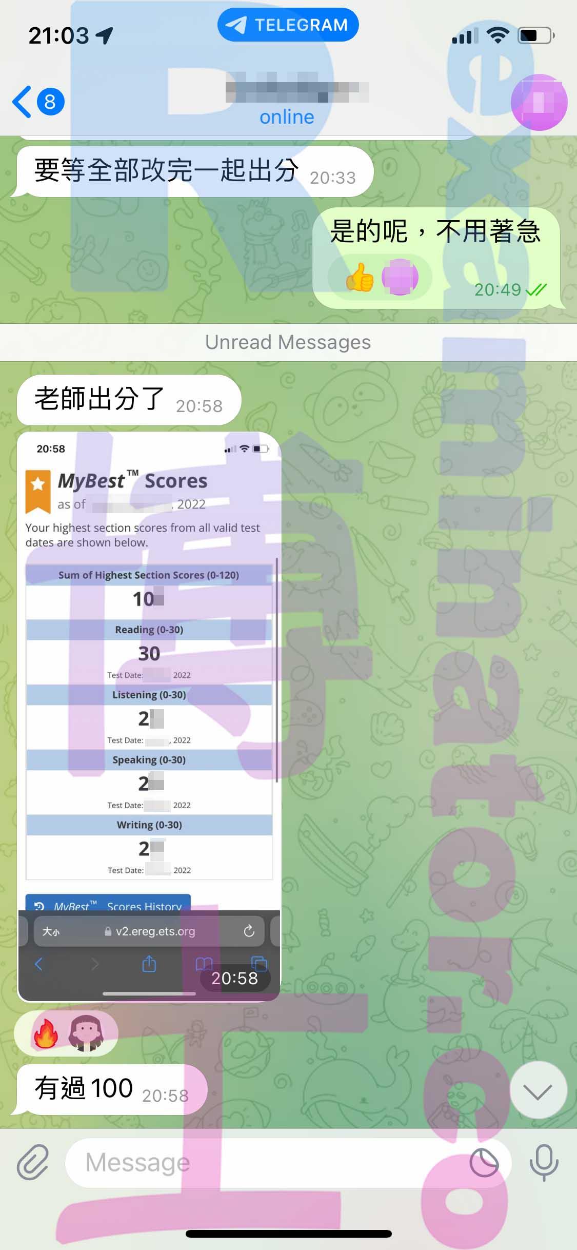 screenshot of chat logs for TOEFL Cheating success story #395