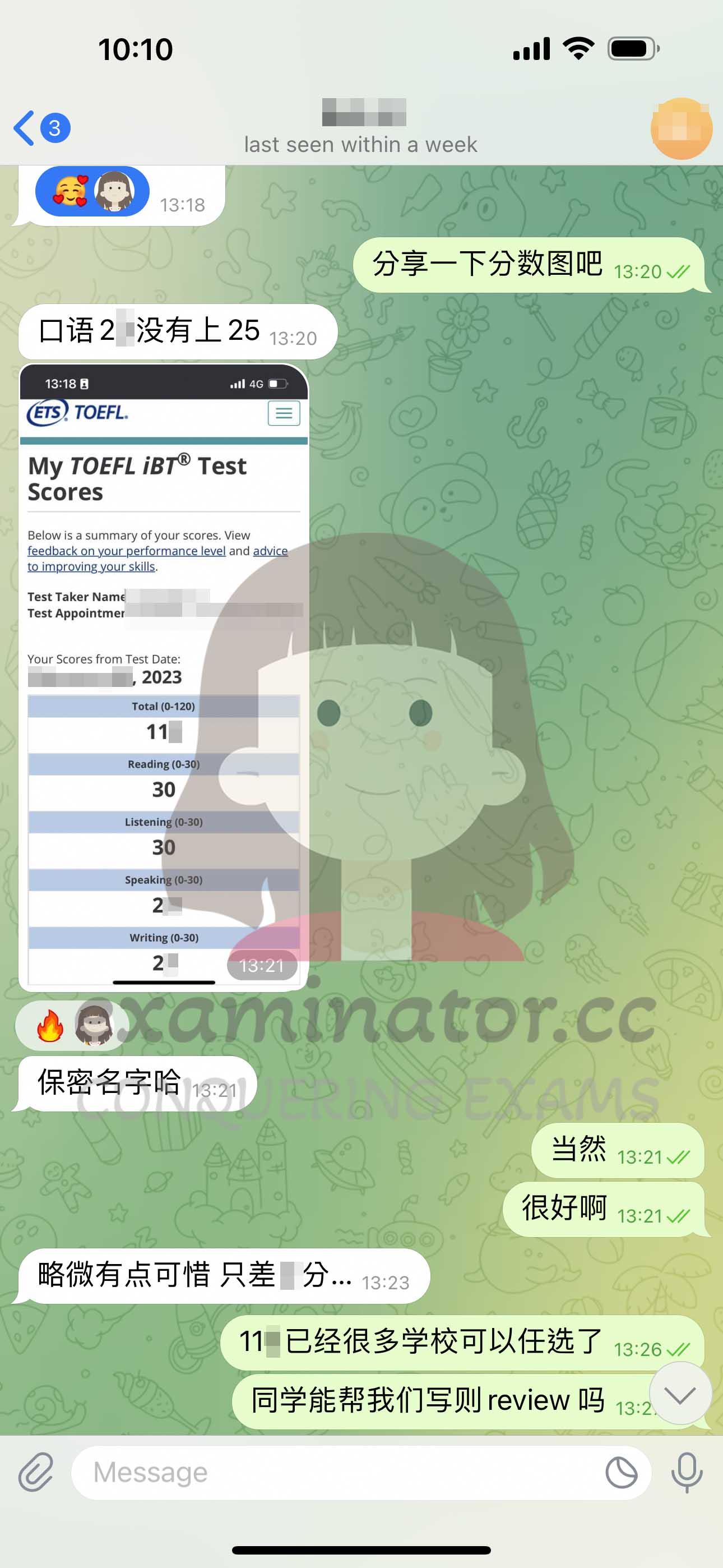 screenshot of chat logs for TOEFL Cheating success story #602