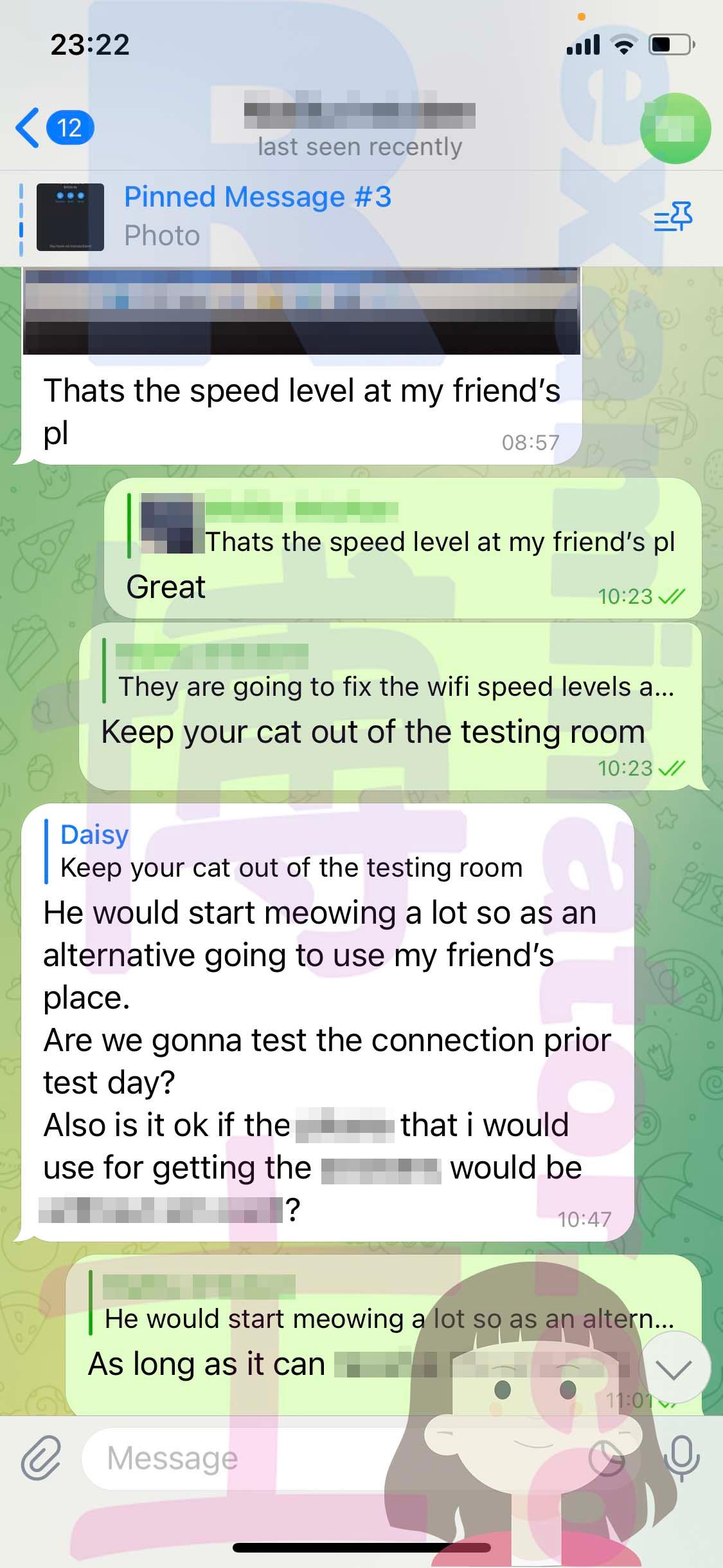 screenshot of chat logs for GRE Proxy Testing success story #532