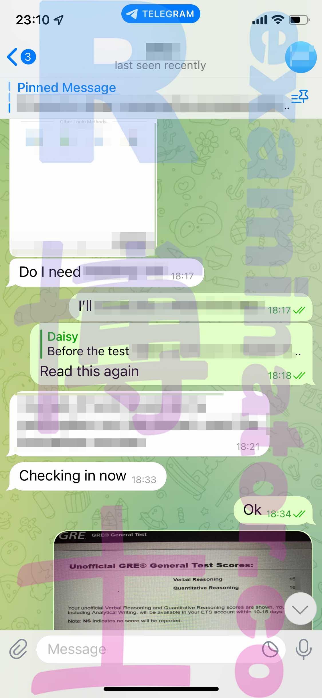 screenshot of chat logs for GRE Cheating success story #416