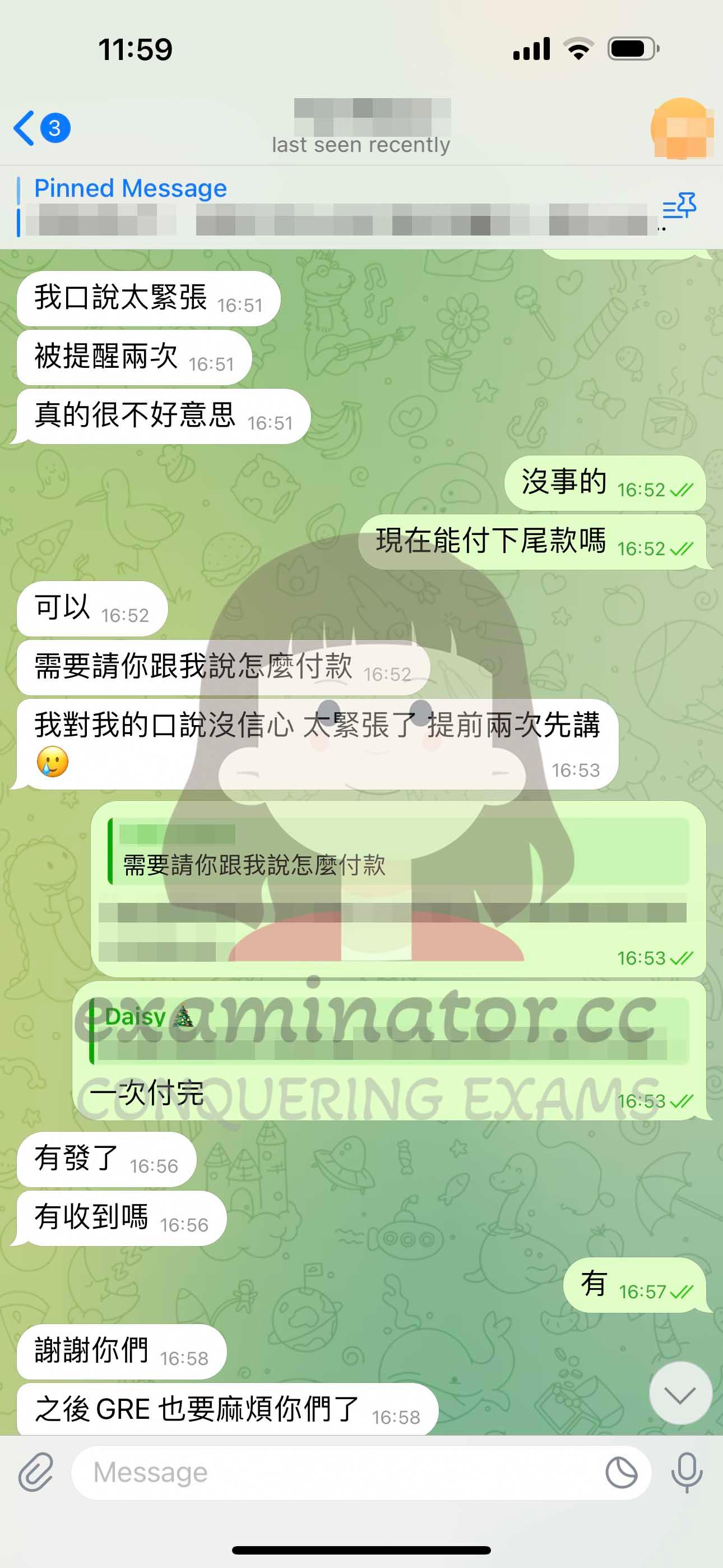 screenshot of chat logs for TOEFL Cheating success story #614