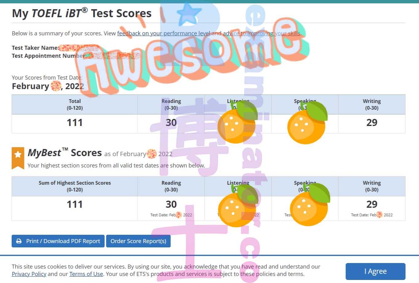 score image for TOEFL Cheating success story #273