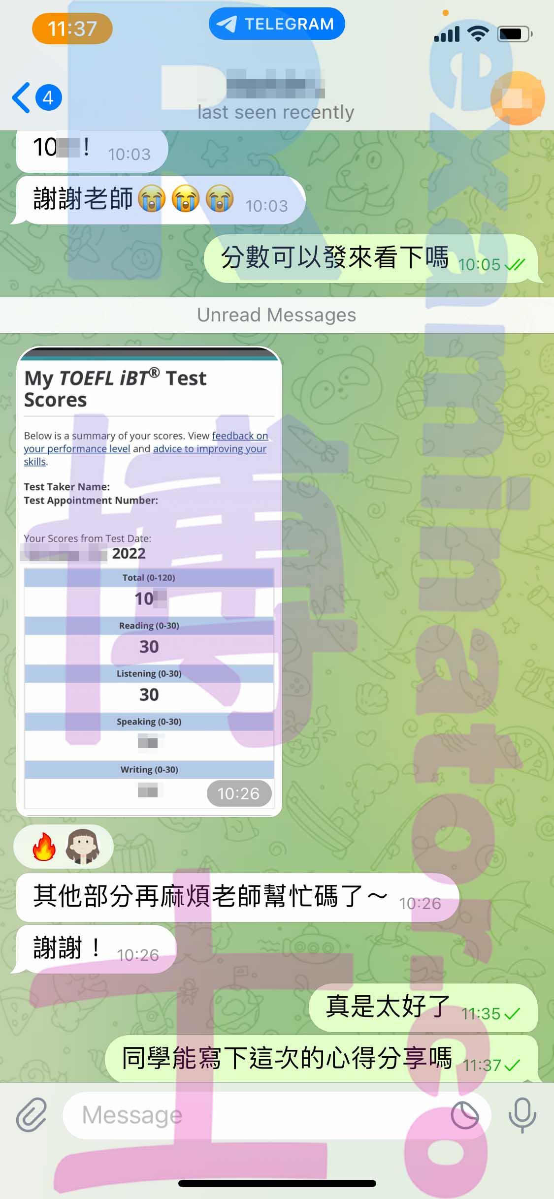 screenshot of chat logs for TOEFL Cheating success story #437