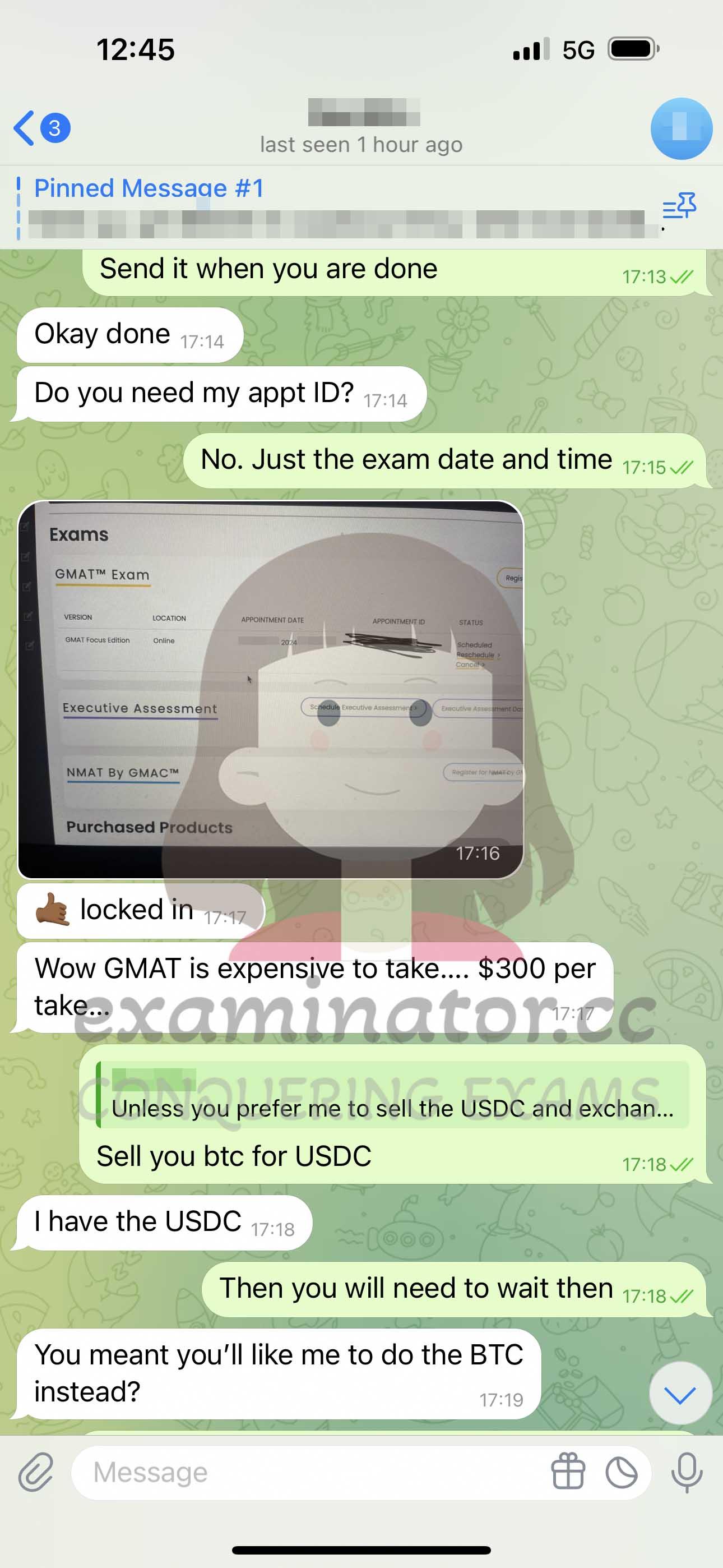 screenshot of chat logs for [GMAT Cheating] success story #393