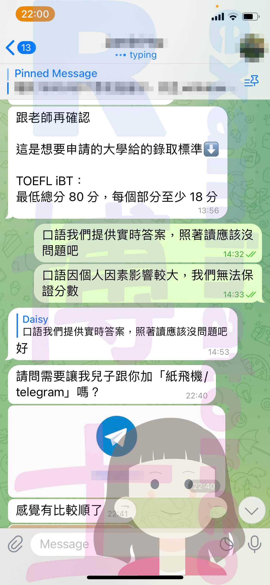 screenshot of chat logs for TOEFL Cheating success story #506