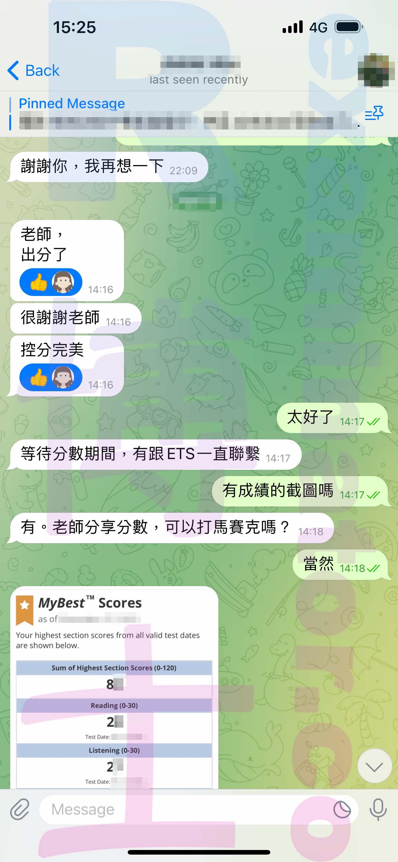 screenshot of chat logs for TOEFL Cheating success story #513