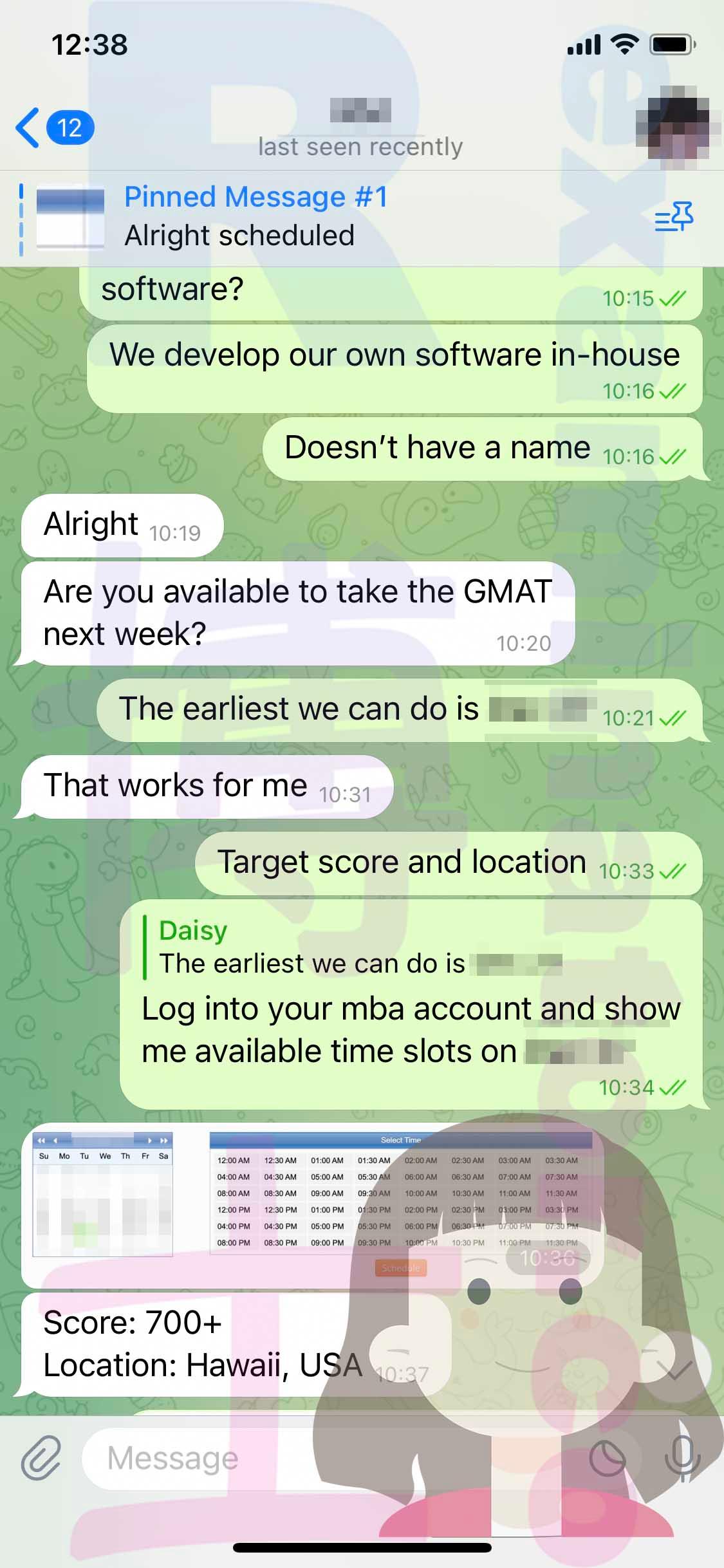 screenshot of chat logs for [GMAT Cheating] success story #315