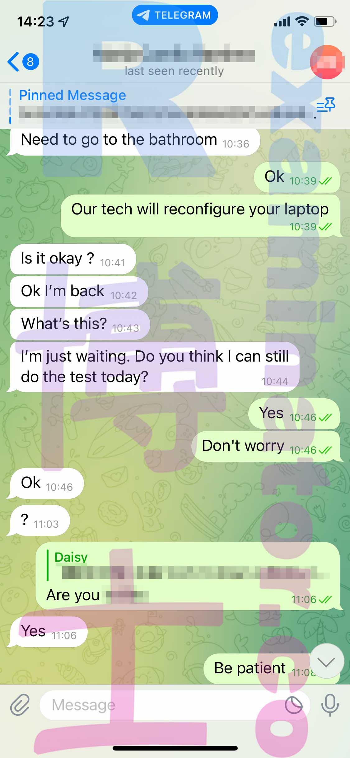screenshot of chat logs for TOEFL Cheating success story #448