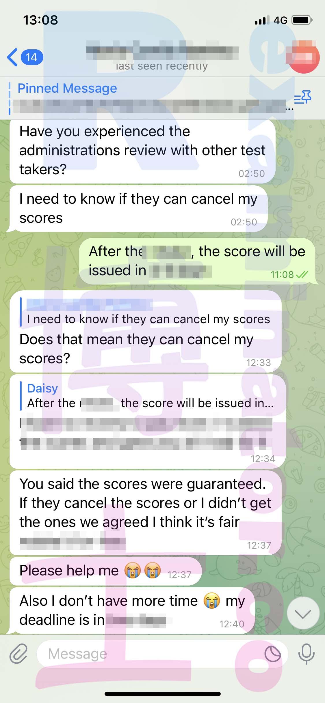 screenshot of chat logs for TOEFL Cheating success story #456
