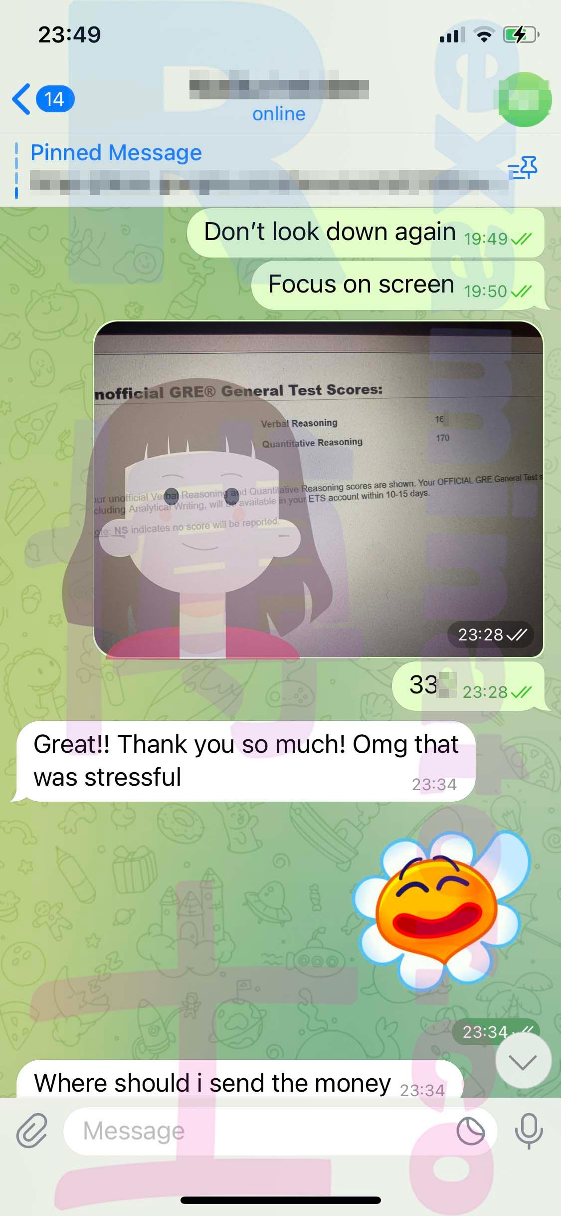 screenshot of chat logs for GRE Cheating success story #532