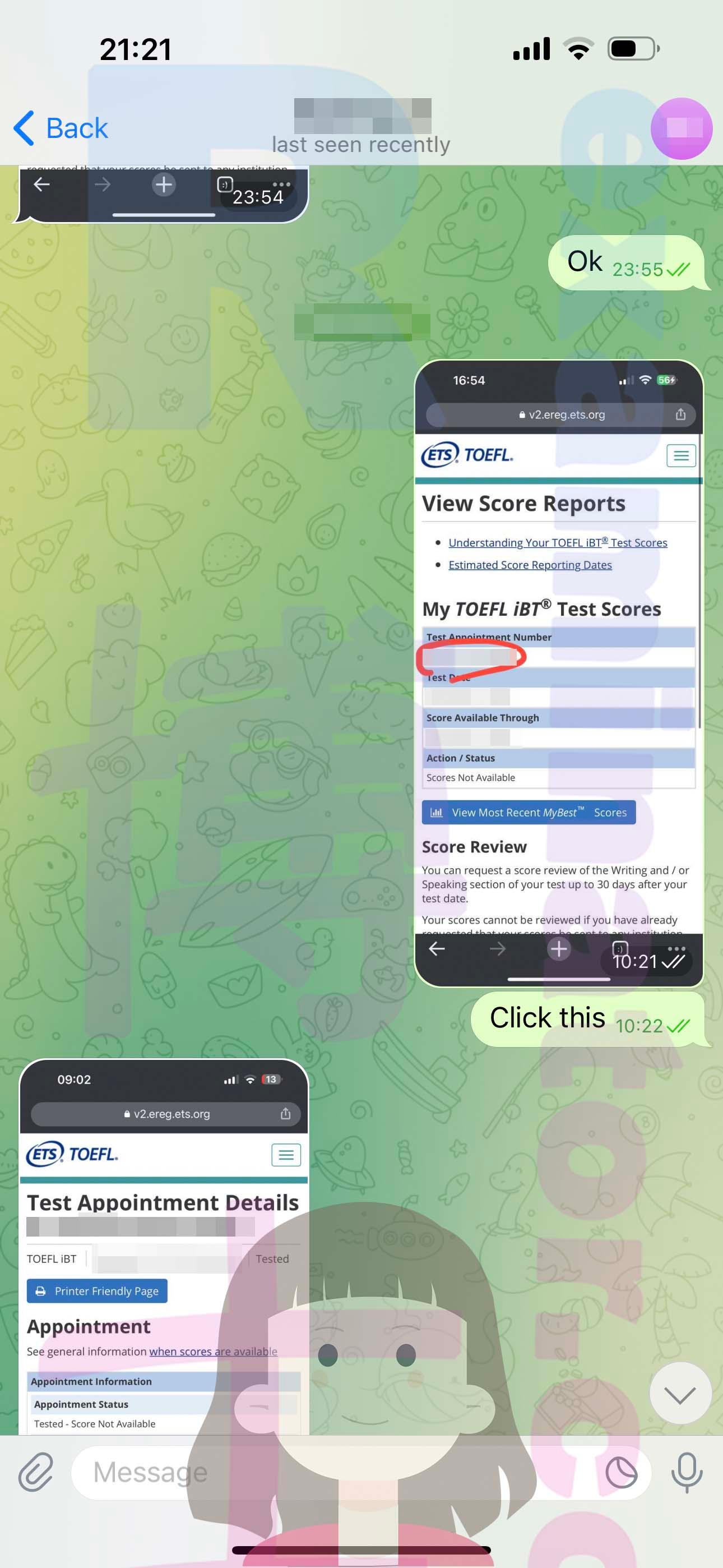 screenshot of chat logs for TOEFL Cheating success story #517