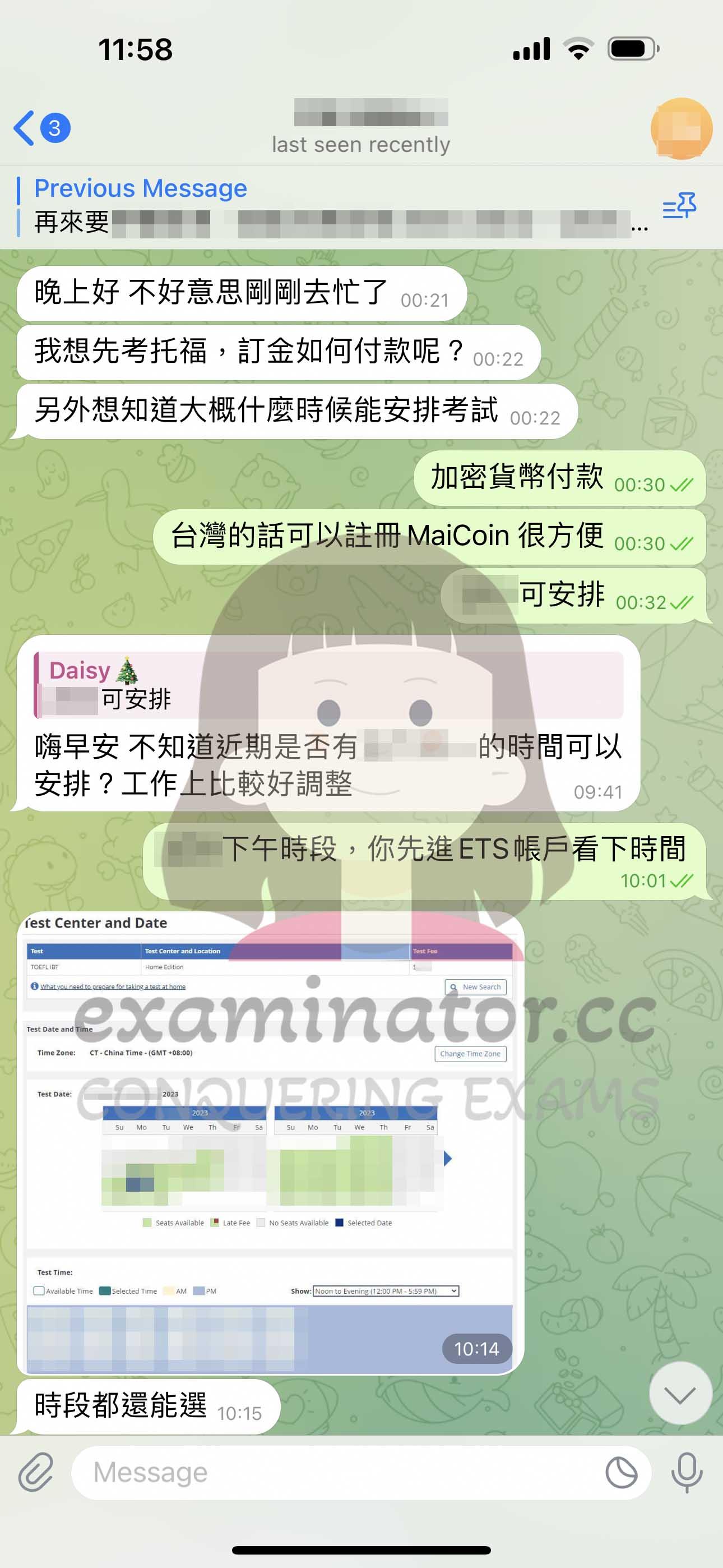screenshot of chat logs for [TOEFL Cheating] success story #379